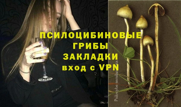 гашиш Богородицк